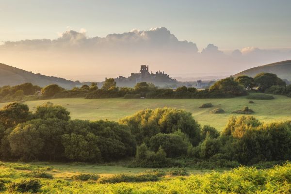 輸入壁紙 カスタム壁紙 PHOTOWALL / Corfe Castle from Corfe Common (e331944)