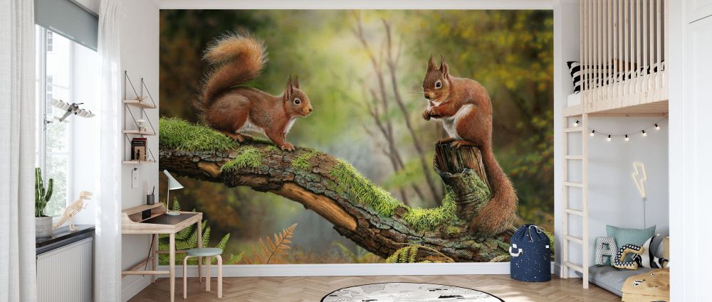 輸入壁紙 カスタム壁紙 PHOTOWALL / Red Squirrels (e332598)