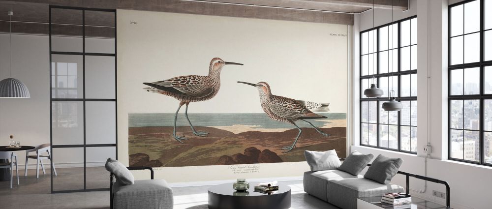 輸入壁紙 カスタム壁紙 PHOTOWALL / Long-Legged Sandpiper (e333512)