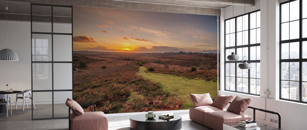 輸入壁紙 カスタム壁紙 PHOTOWALL / Sunset New Forest England (e333979)