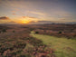 輸入壁紙 カスタム壁紙 PHOTOWALL / Sunset New Forest England (e333979)