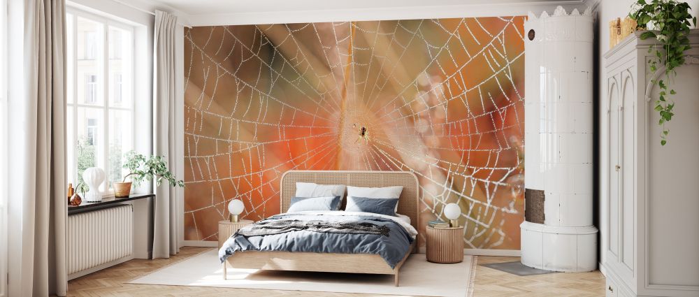 輸入壁紙 カスタム壁紙 PHOTOWALL / Spider Web on Morning Sunlight (e333994)