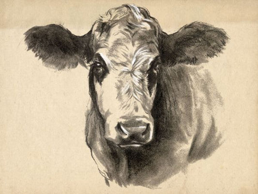 輸入壁紙 カスタム壁紙 PHOTOWALL / Charcoal Cow (e335138)