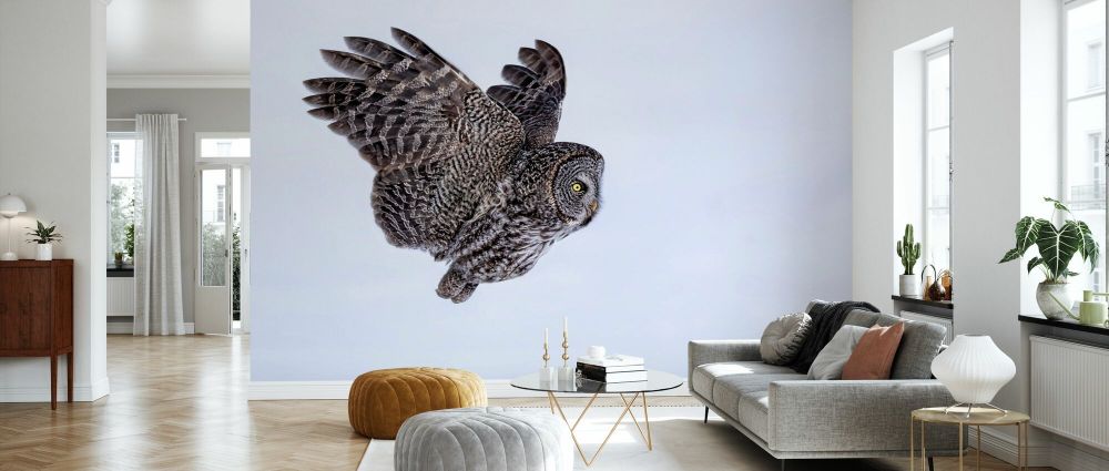 輸入壁紙 カスタム壁紙 PHOTOWALL / Great Grey Owl (e335662)