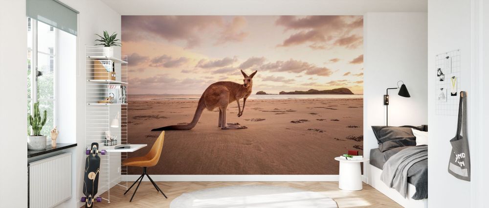 輸入壁紙 カスタム壁紙 PHOTOWALL / Kangaroo at the Australian Beach (e335992)