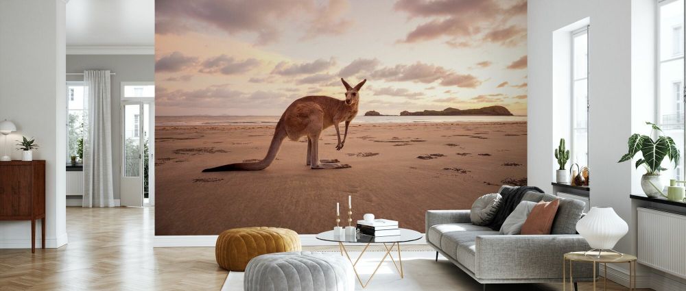 輸入壁紙 カスタム壁紙 PHOTOWALL / Kangaroo at the Australian Beach (e335992)