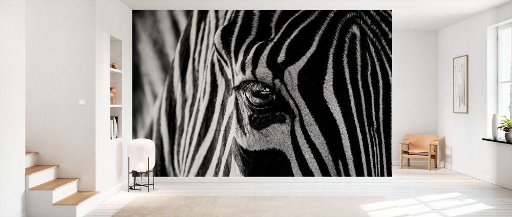 輸入壁紙 カスタム壁紙 PHOTOWALL / Abstract Zebra (e337073)