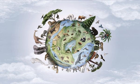 輸入壁紙 カスタム壁紙 PHOTOWALL / Animals of Earth (e84067)