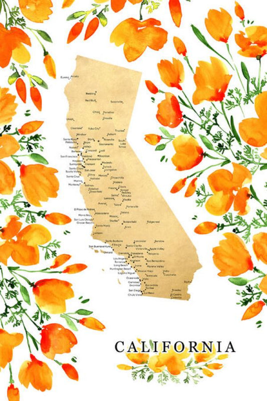 輸入壁紙 カスタム壁紙 PHOTOWALL / California Poppies State Map (e84222)