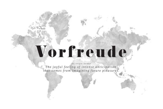 輸入壁紙 カスタム壁紙 PHOTOWALL / Vorfreude World Map (e84370)