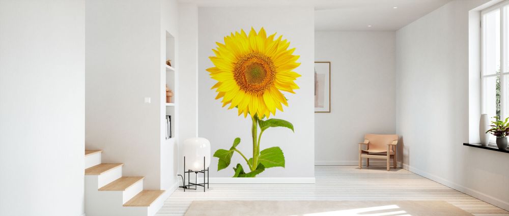 輸入壁紙 カスタム壁紙 PHOTOWALL / Sunflower (e84540)