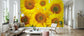 輸入壁紙 カスタム壁紙 PHOTOWALL / Yellow Sunflowers (e84541)