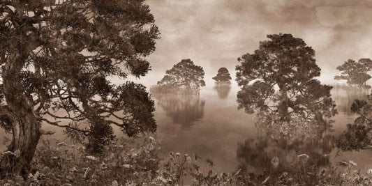 輸入壁紙 カスタム壁紙 PHOTOWALL / Watercolor Lake - Ink Sepia (e84598)