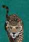 輸入壁紙 カスタム壁紙 PHOTOWALL / Curious Green Leopard (e85641)