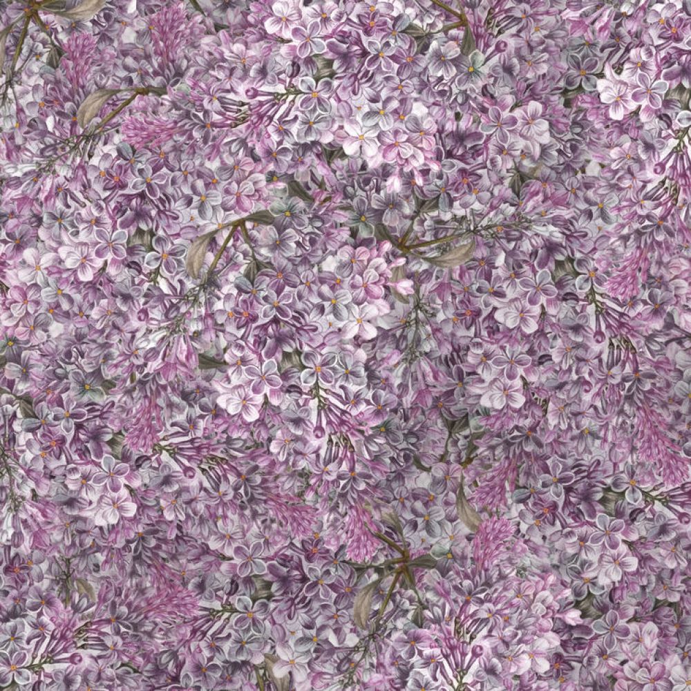 輸入壁紙 カスタム壁紙 PHOTOWALL / Purple Little Flowers for the Prettiest Girl in the World (e92899)