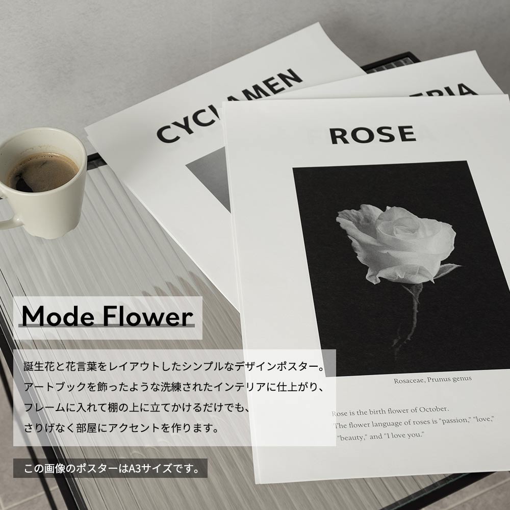 お風呂にも貼れる ポスターステッカー A2サイズ Room No.0 Birthday Art Poster Mode Flower 12月 シクラメン MRN-BMF12