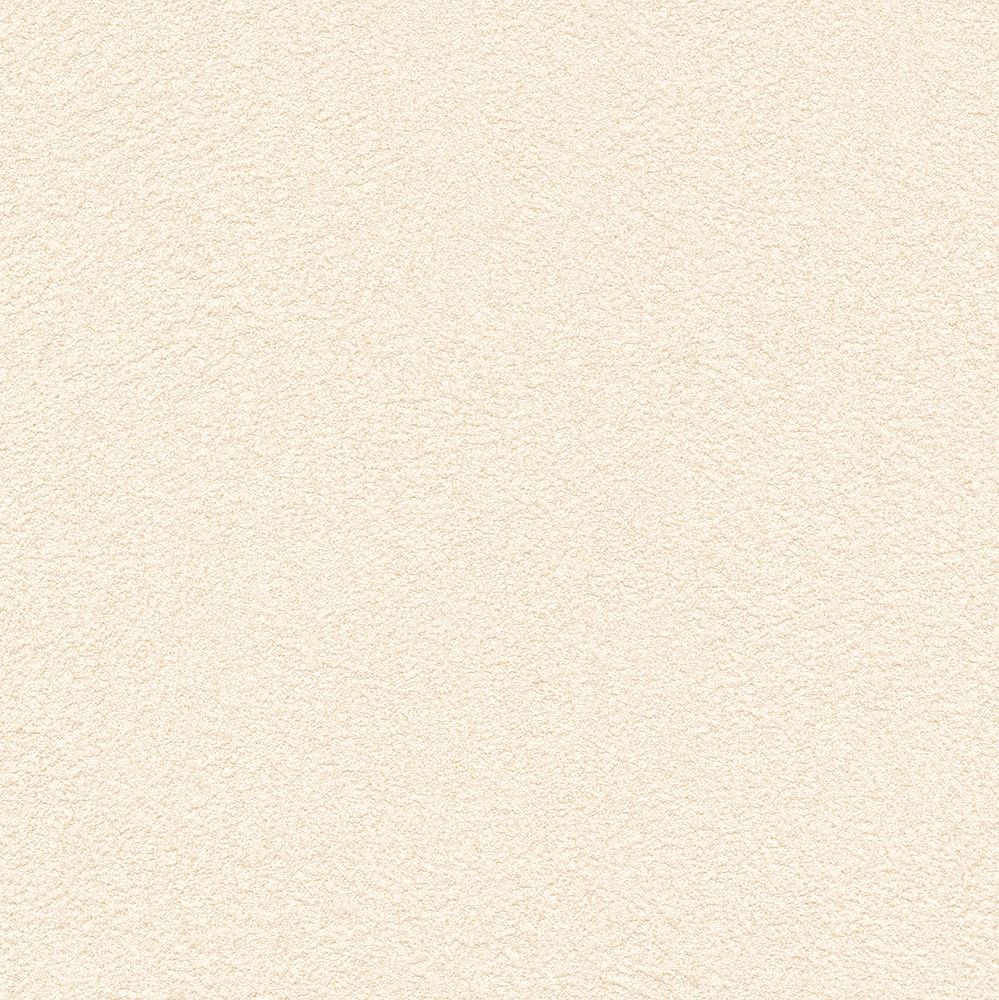 BB2008　俯瞰画像