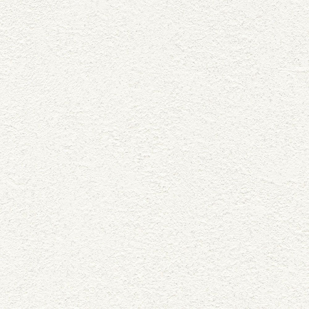 BB2009　俯瞰画像