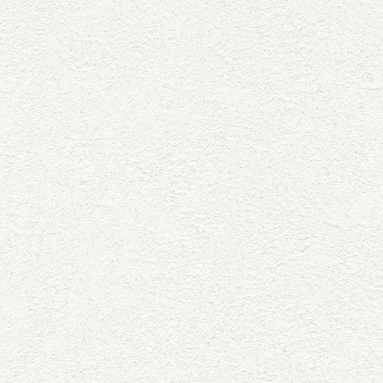 BB2009　俯瞰画像