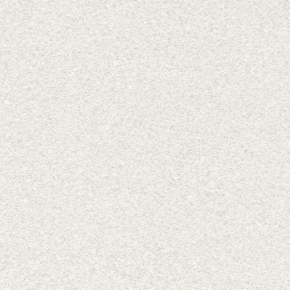 BB2012　俯瞰画像