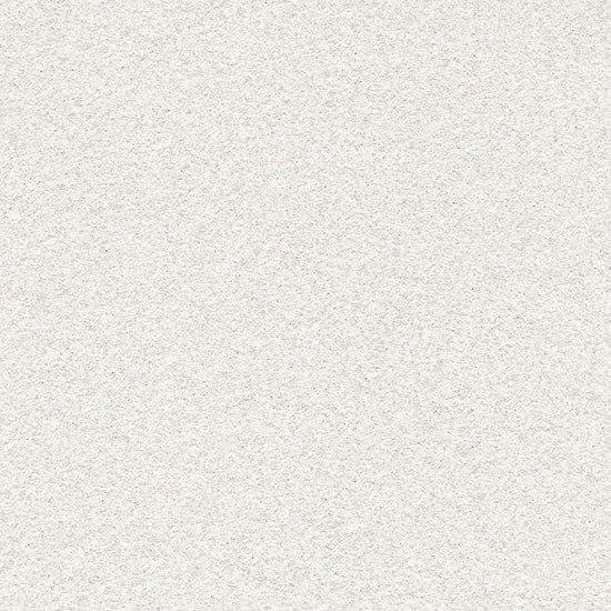 BB2012　俯瞰画像