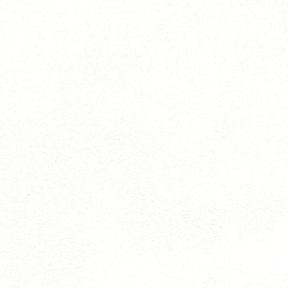 BB2016　俯瞰画像