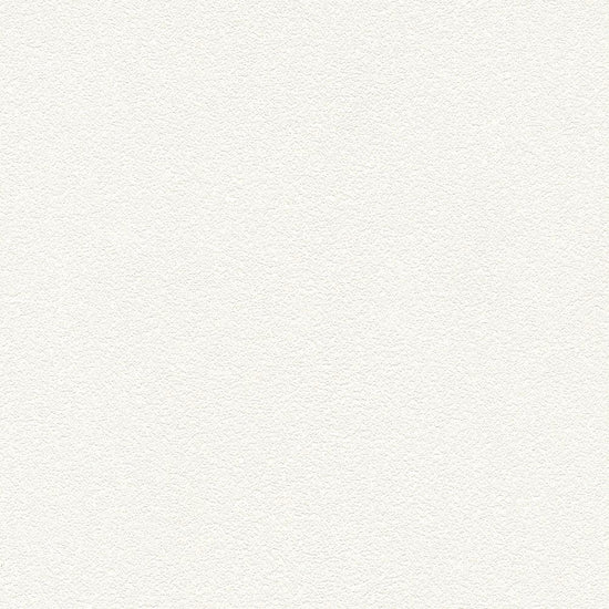 BB2019　俯瞰画像