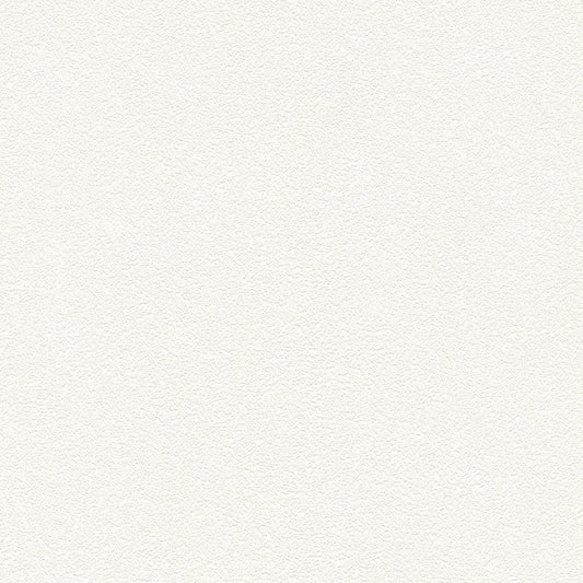 BB-2019 壁紙 のりなし クロス / シンコール / ベスト プロジェクターにおすすめ【サンプル】