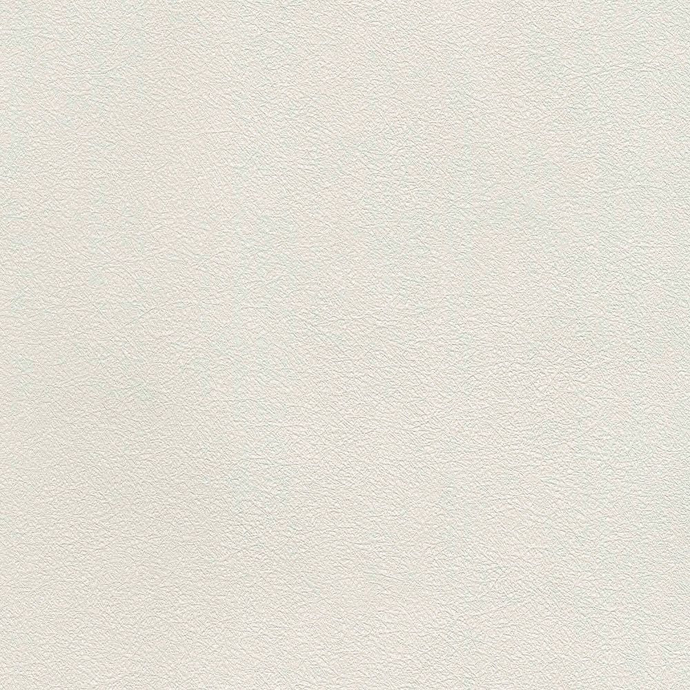 BB2129　俯瞰画像