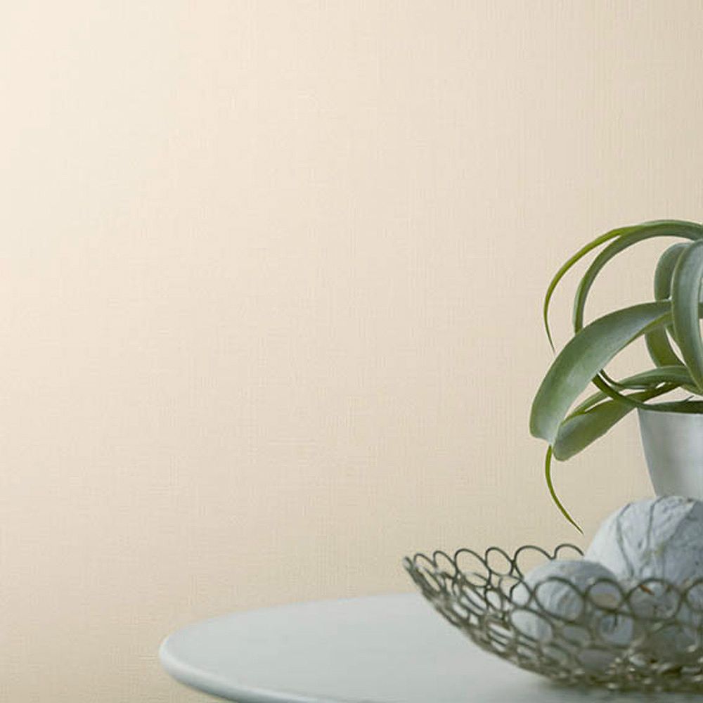 BB-2143 壁紙 のり付き クロス / シンコール / ベスト ベージュの無地【10m+施工道具セット】