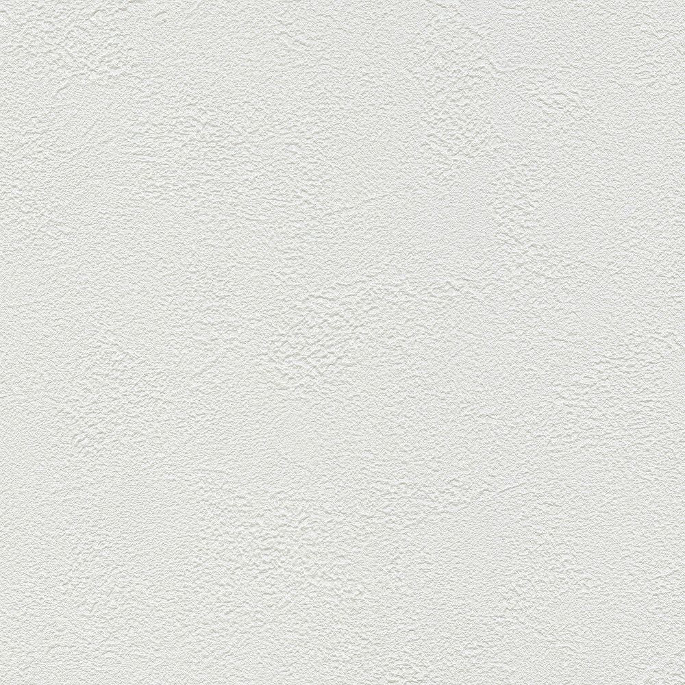 BB2154　俯瞰画像