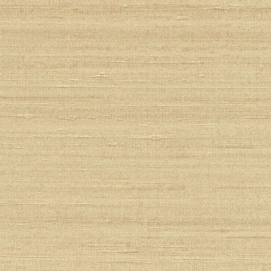 BB-2206 壁紙 のりなし クロス / シンコール / ベスト イエローの無地【サンプル】