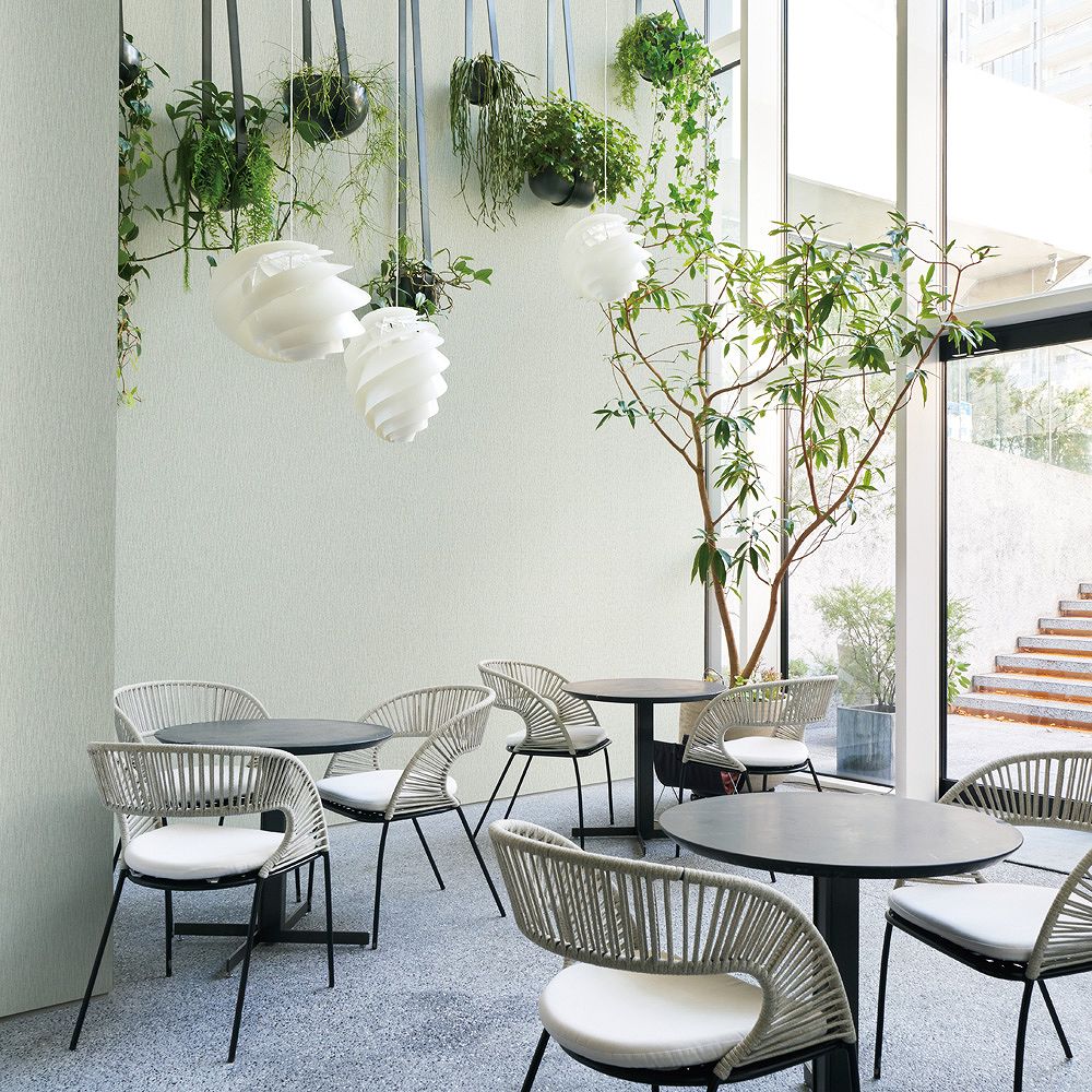 BB-2291 壁紙 のり付き クロス / シンコール / ベスト グリーンの無地【30m+施工道具セット】