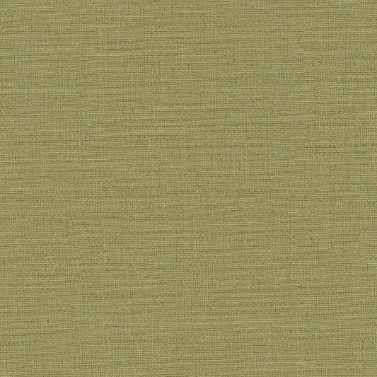 BB-2315 壁紙 のりなし クロス / シンコール / ベスト グリーンの無地【サンプル】