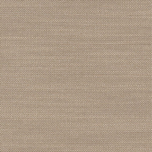 BB-2322 壁紙 のりなし クロス / シンコール / ベスト ブラウンの無地【サンプル】