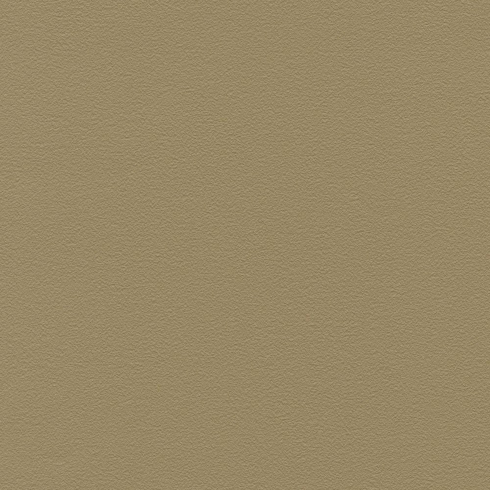 BB-2323 壁紙 のり付き クロス / シンコール / ベスト ブラウンの無地【30m+施工道具セット】