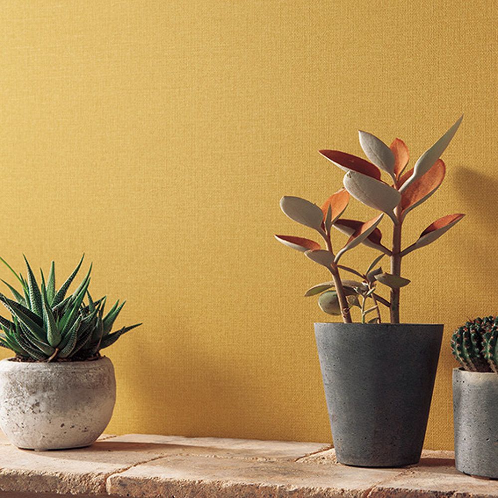 BB-2340 壁紙 のりなし クロス / シンコール / ベスト オレンジの無地【サンプル】