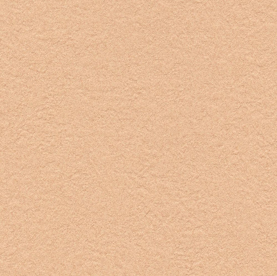 BB2342　俯瞰画像