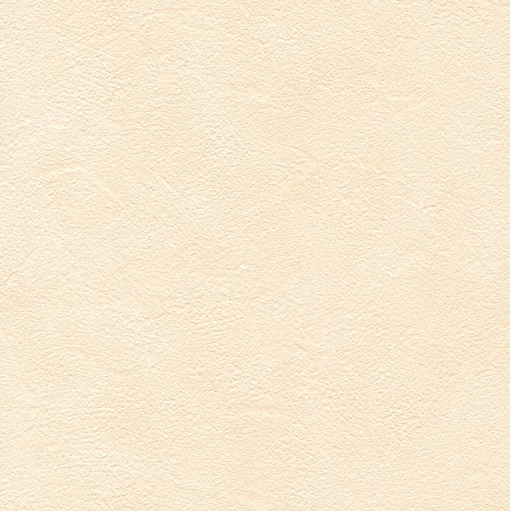 BB2345　俯瞰画像