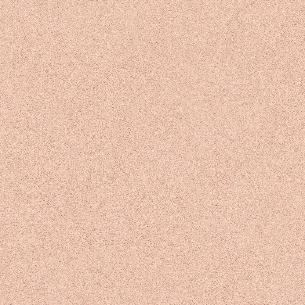 BB2381　俯瞰画像