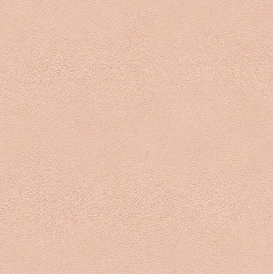 BB2381　俯瞰画像