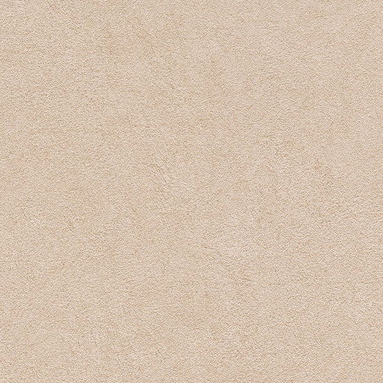 BB2384　俯瞰画像