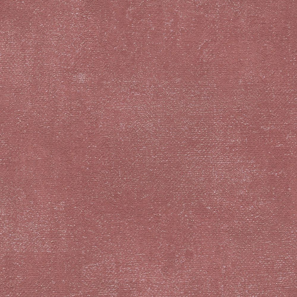 BB2404　俯瞰画像