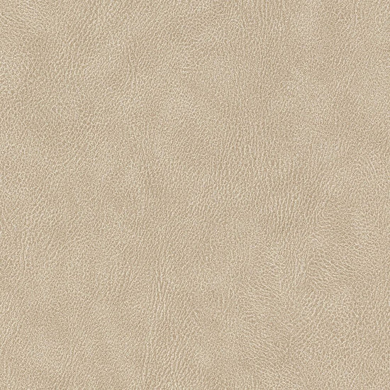 BB2456　俯瞰画像