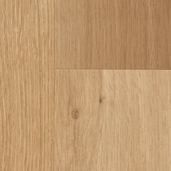 BB2486　俯瞰画像