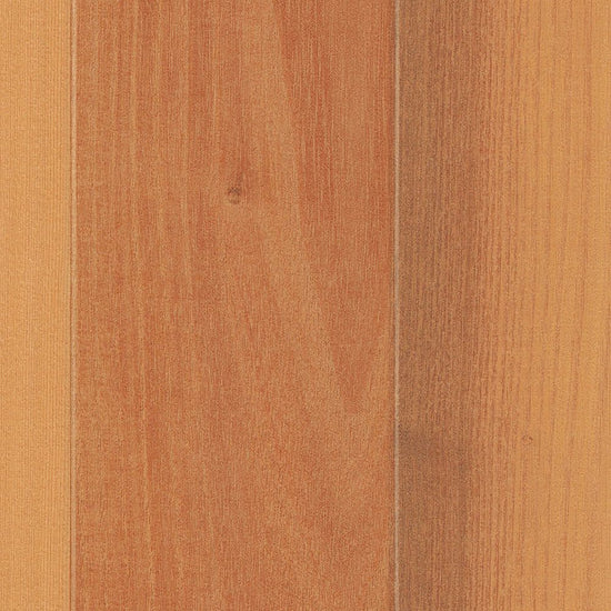 BB2487　俯瞰画像