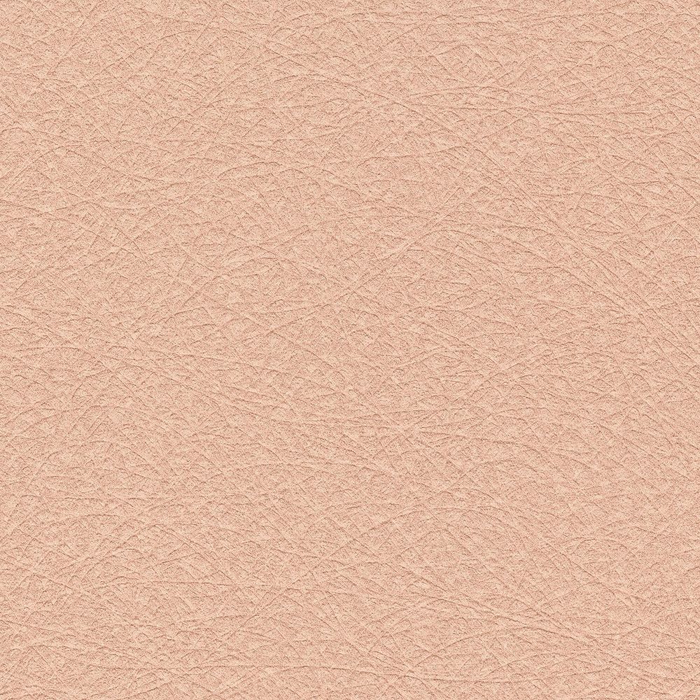 BB2636　俯瞰画像