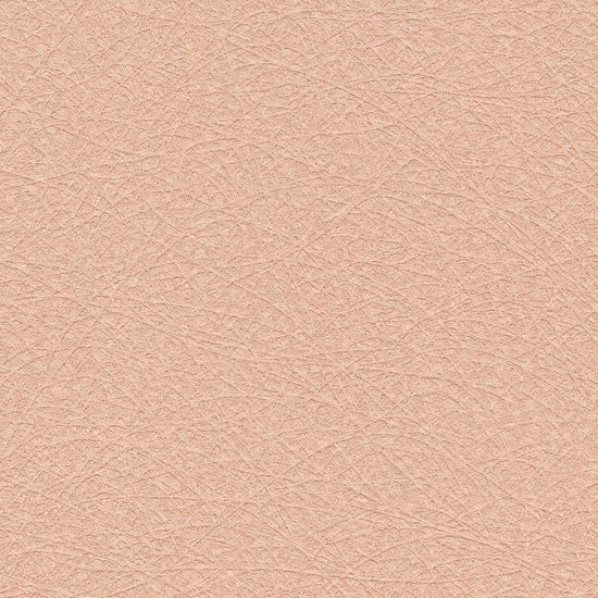 BB2636　俯瞰画像