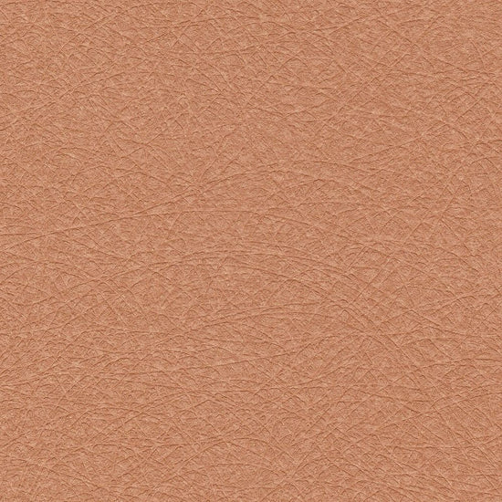 BB2637　俯瞰画像