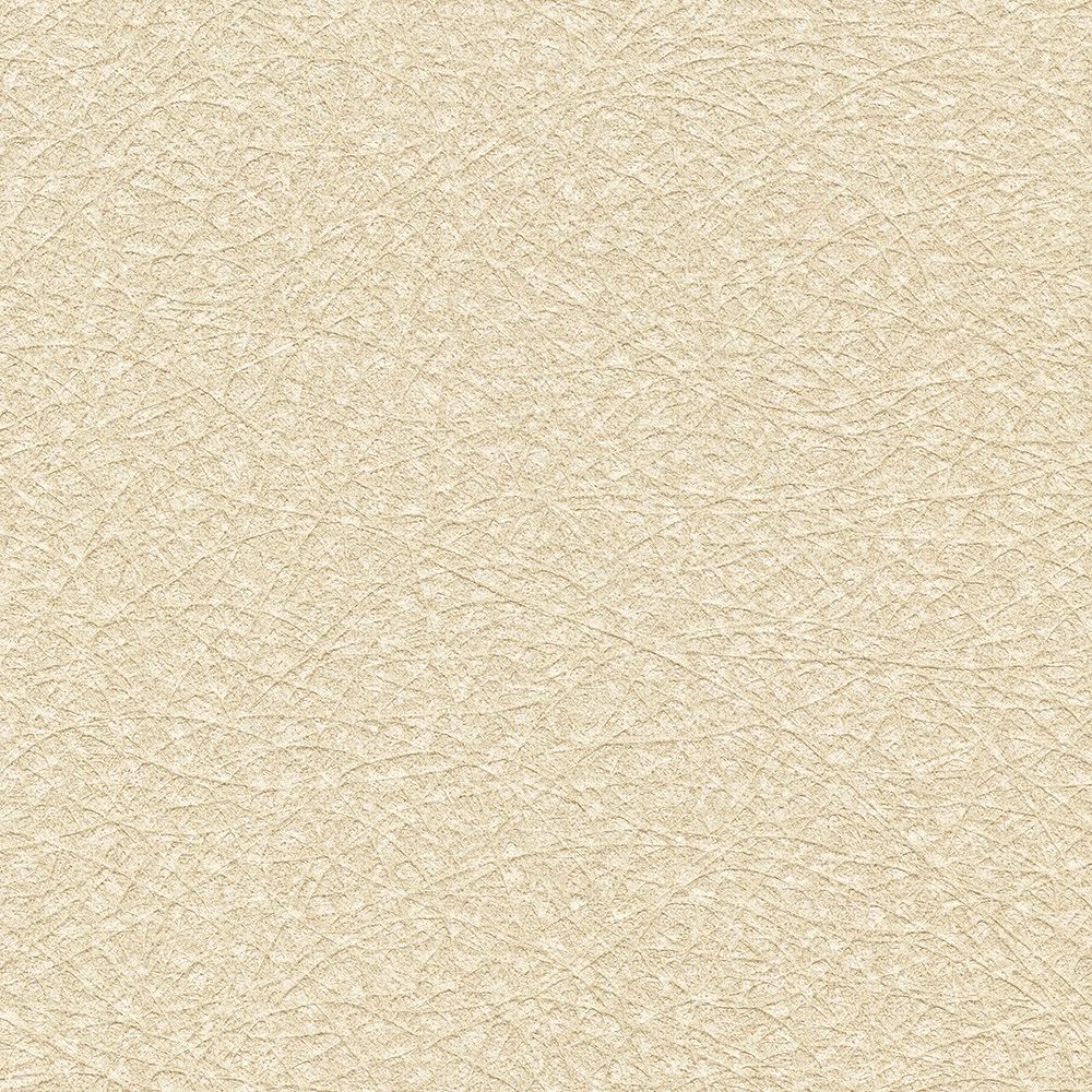 BB2638　俯瞰画像